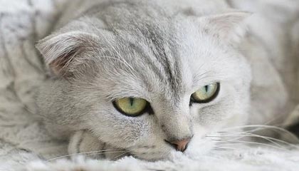 开云服务-BOB半岛体育:在海风中追逐每一次心跳